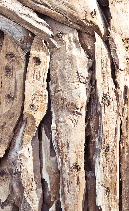Abstract Photograph - Wood abstract by Tom Gowanlock