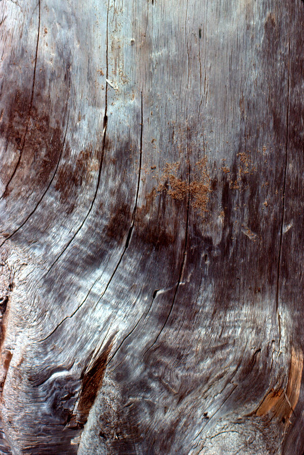 Wood And Dirt Abstract Photograph by Ben Kotyuk