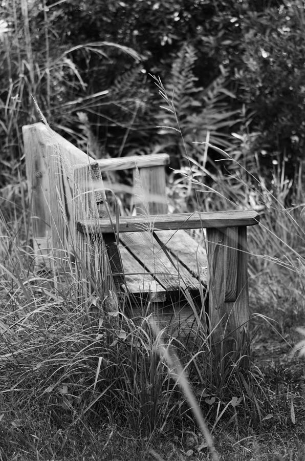 Wood Bench Photograph by Vincent Billotto