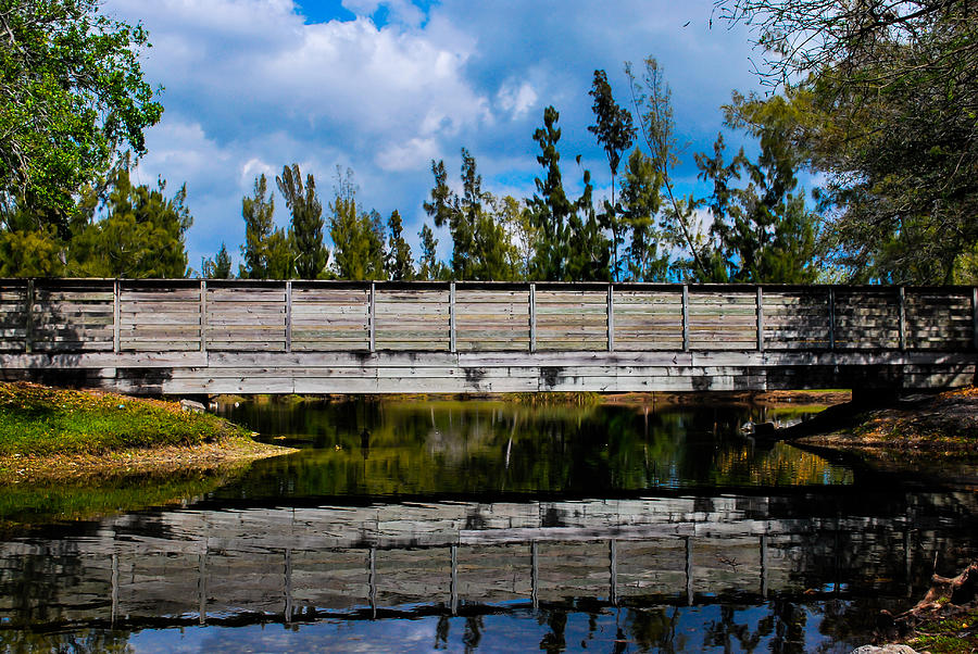 Nature Photograph - Wood Bridge by Jose Mena