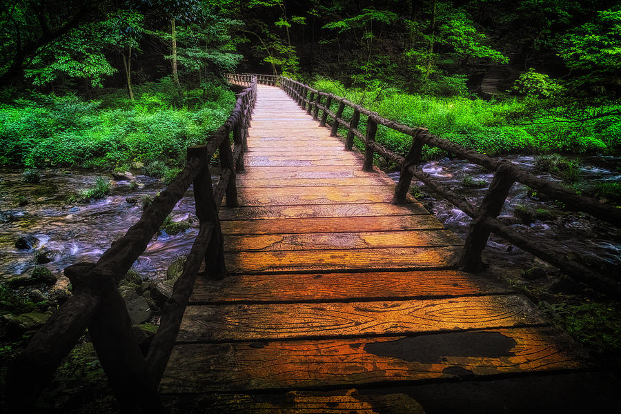 Wood Bridge Over A Creek In A Forest Photograph by John Wang