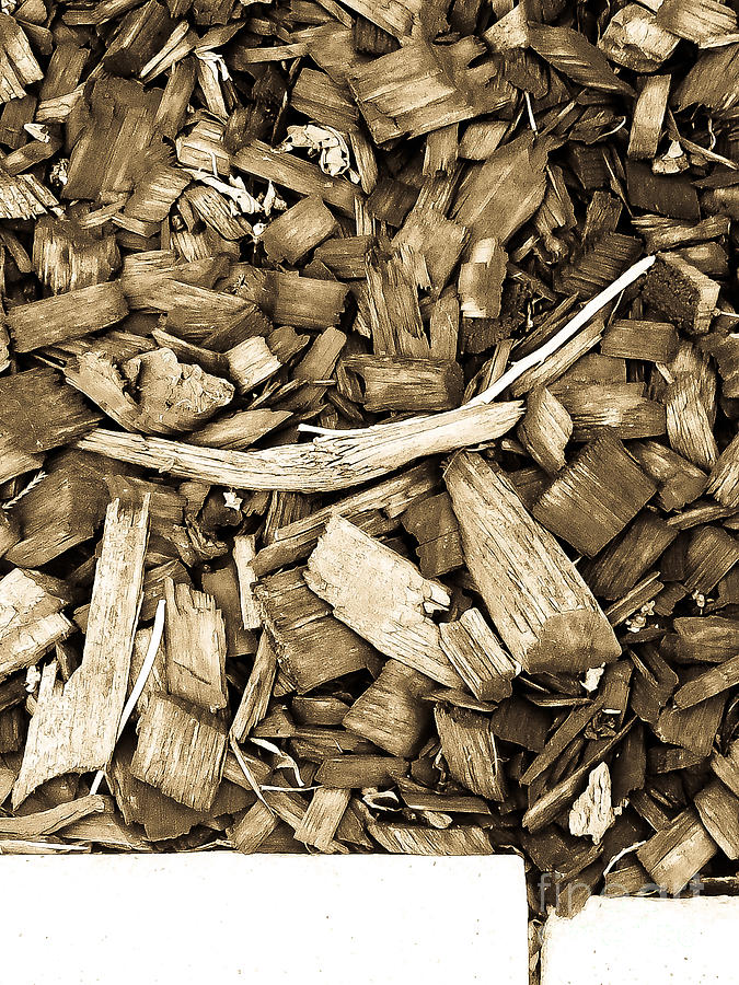Wood Chips Beige Version Photograph by Fei A