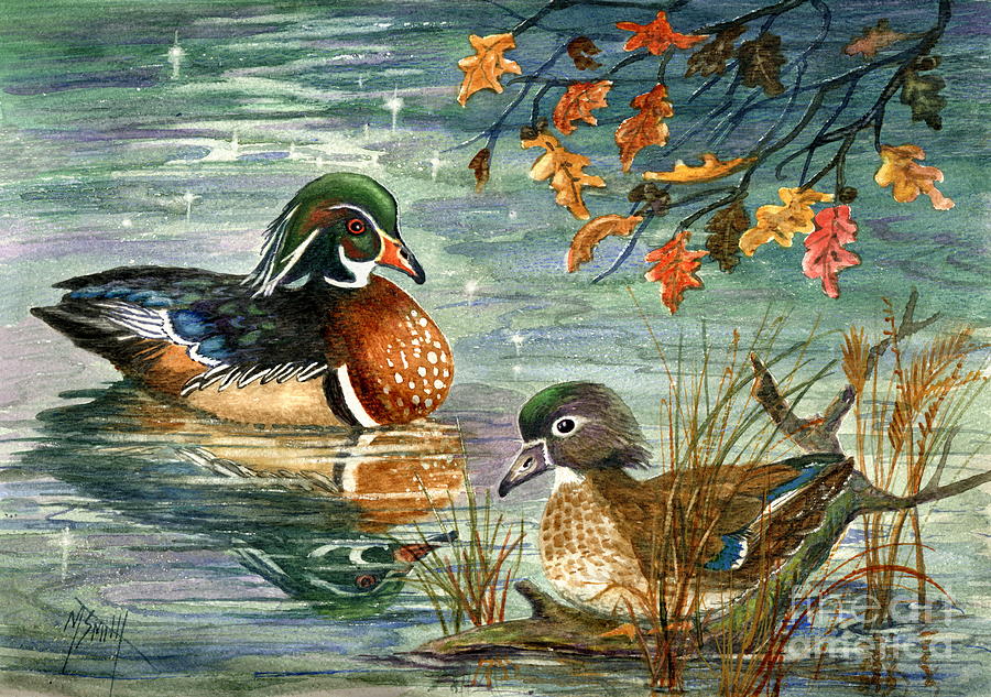Wood Duck Pair Painting by Marilyn Smith