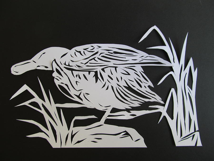 Wood Duck Paper Cut Mixed Media by Alfred Ng