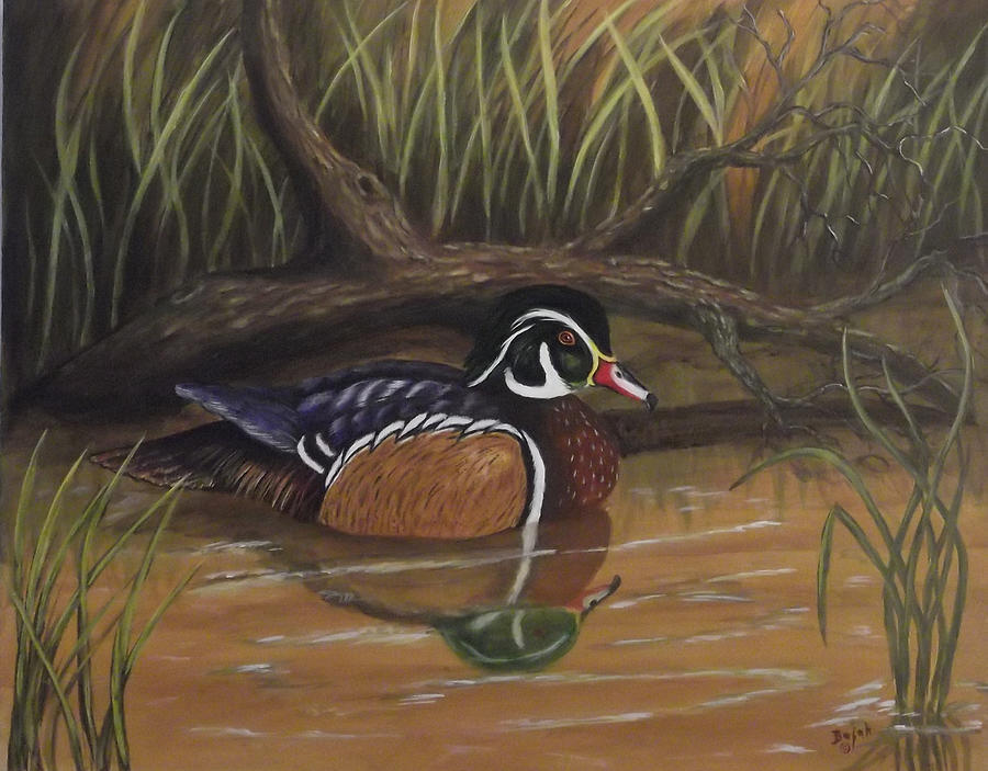 Wood Duck Painting - Wood Duck by Rudolph Bajak