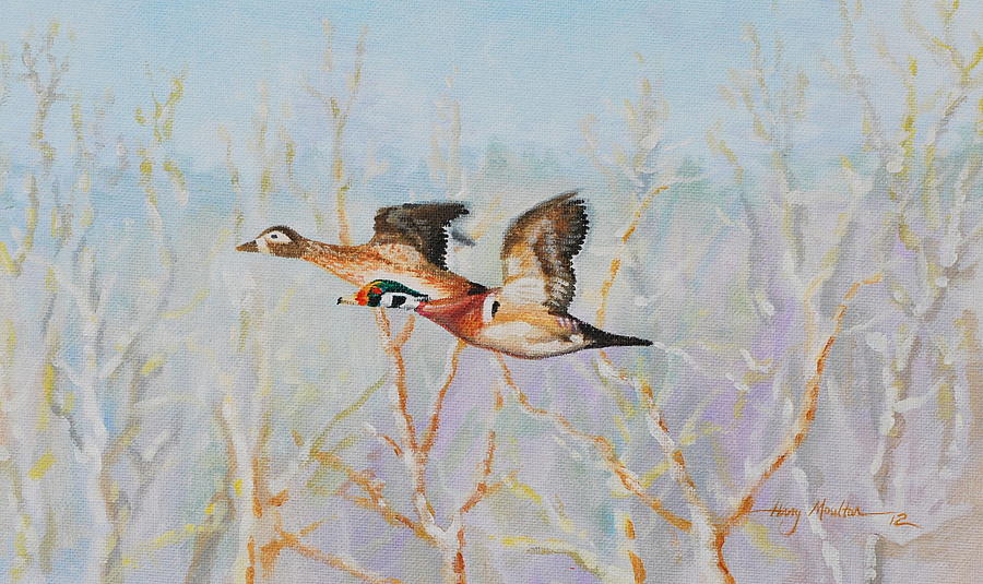 Wood Ducks Painting by Harry Moulton