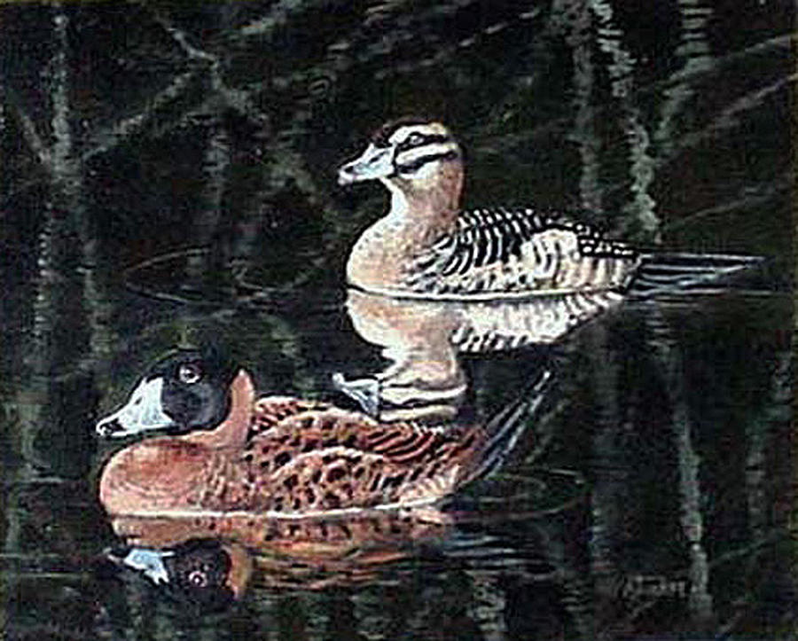 Wood Ducks Study Painting by Donna Tucker
