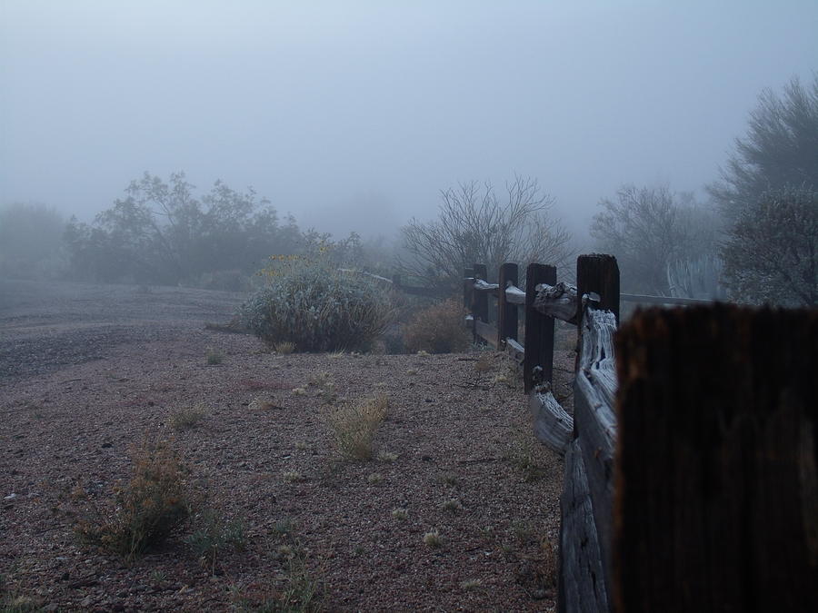 Wood fence in fog Photograph by David S Reynolds