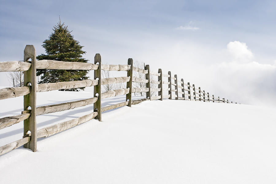 Wood fence - old wood fence in the pristine white snow Photograph by Gary Heller