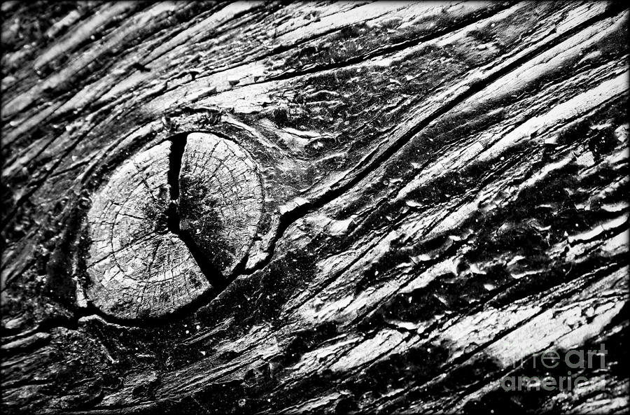 Wood Flow Photograph by James Aiken