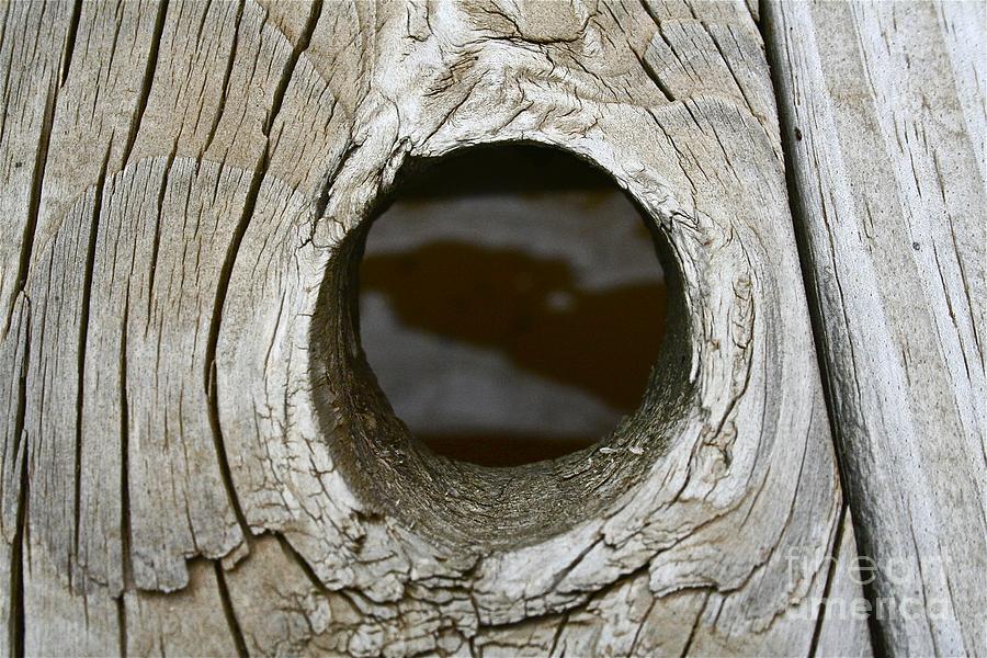 Wood Hole Photograph by Jennifer Lamanca Kaufman Fine Art America