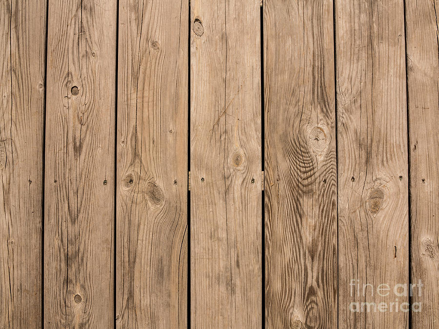 Wood I Photograph by Sterling Gold