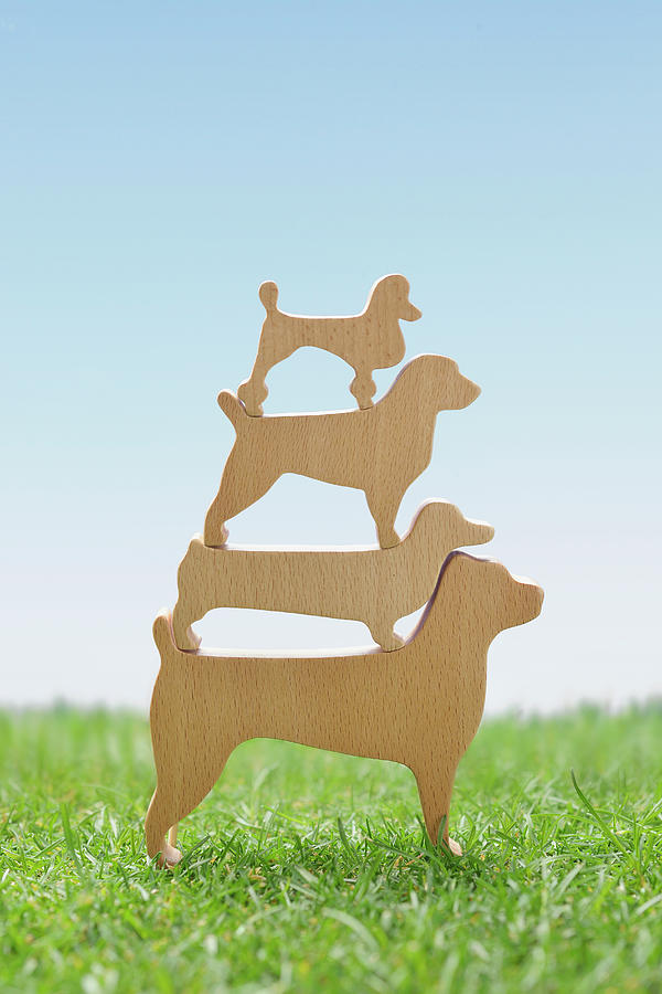 Wood In The Shape Of Four Dog  On The Photograph by Yagi Studio