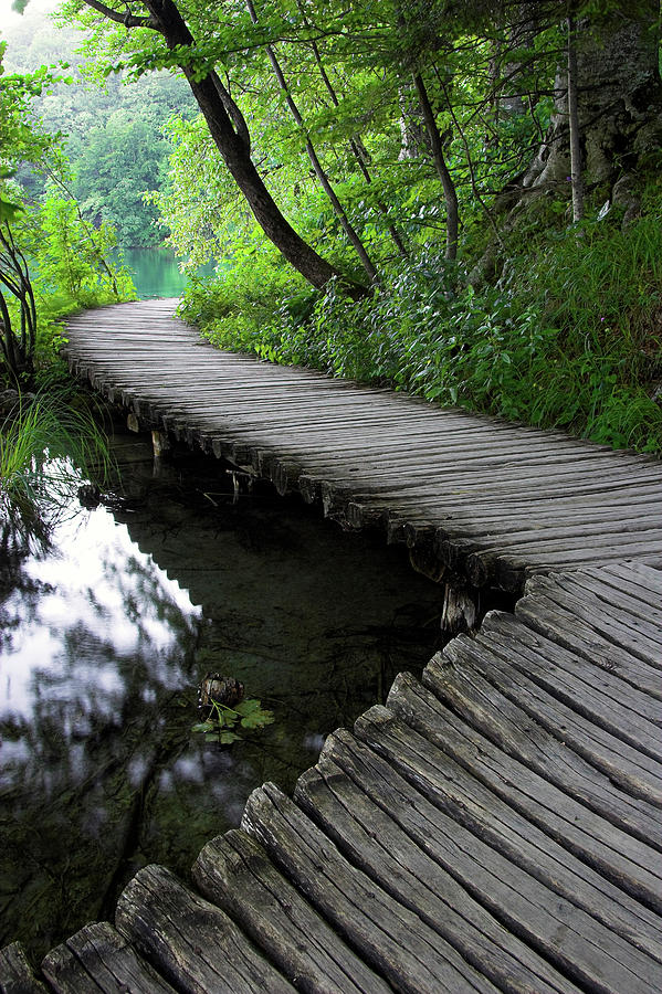 Wood Path At The Unesco World Heritage Photograph by Joel Santos - Fine ...