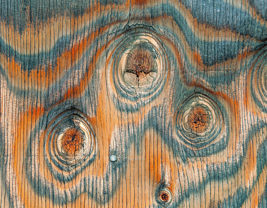 Wood Patterns In Plywood Photograph by Russell Burden