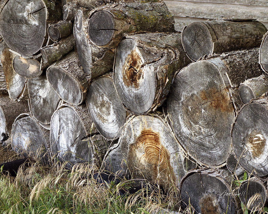 Wood Pile -  fine art  photograph Photograph by Ann Powell