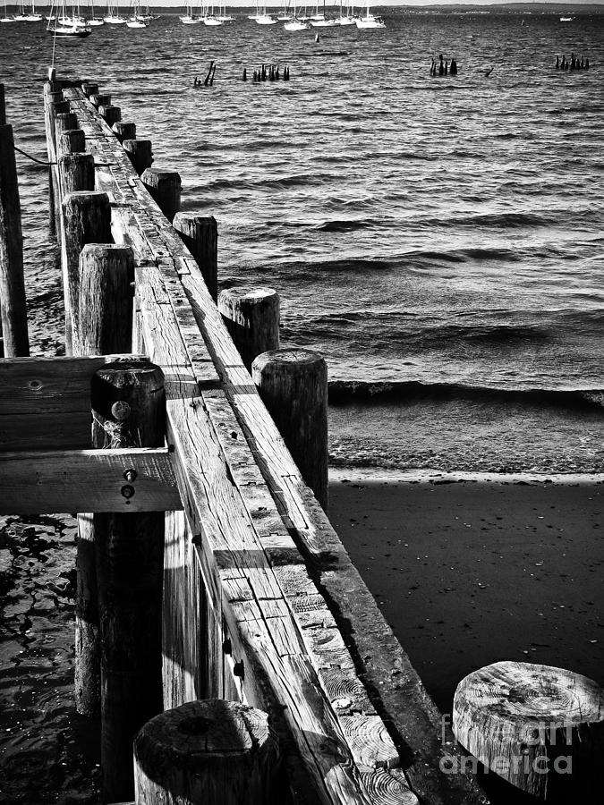 Wood Pilings In Black And White Photograph By Colleen Kammerer - Pixels