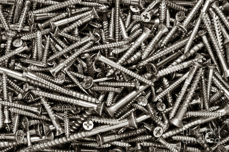Wood Screws  Photograph by Olivier Le Queinec