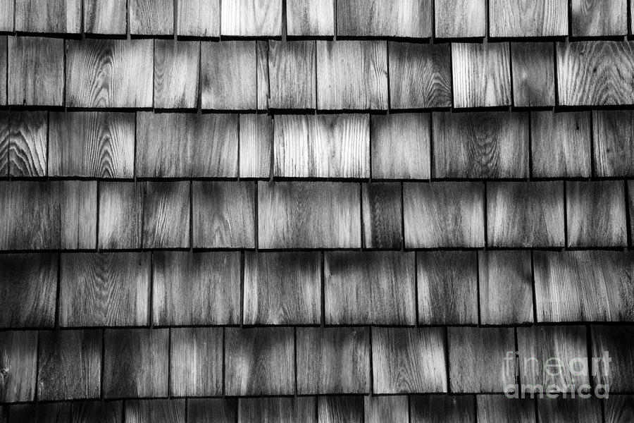Wood Shingles Abstract black and white Photograph by Glenn Gordon