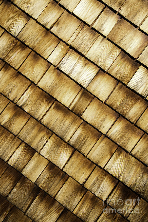 Wood Shingles Abstract Photograph by Glenn Gordon