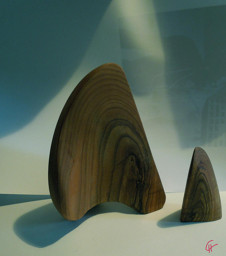 Colette Photograph - Wood Zen Harmony by Colette V Hera Guggenheim