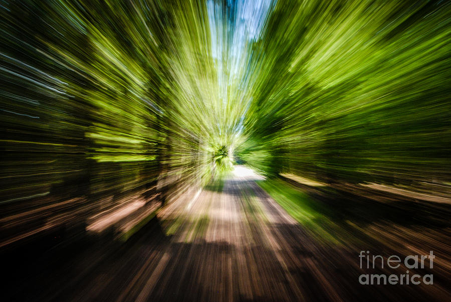 Wooded Spin Photograph by Grace Grogan