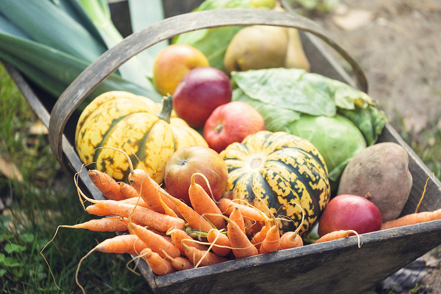 Wooden basket full of fresh, organic vegetables Photograph by Brzozowska