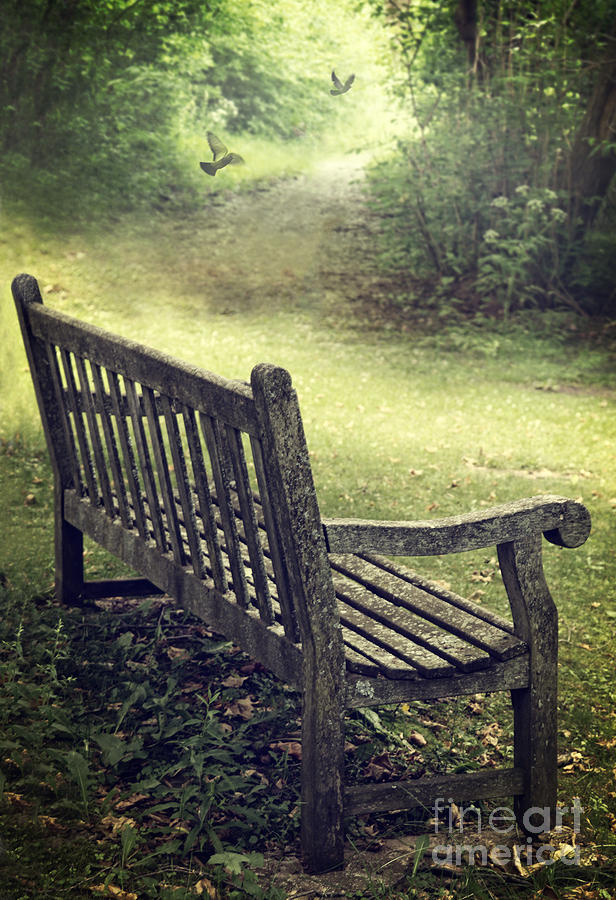 Wooden bench in a park with woman walking away Photograph by Sandra Cunningham
