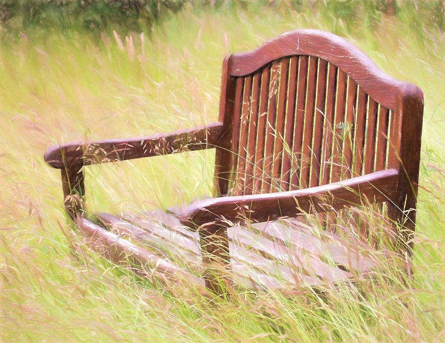 Wooden Bench Versus Mother Nature Photograph by Peggy Collins