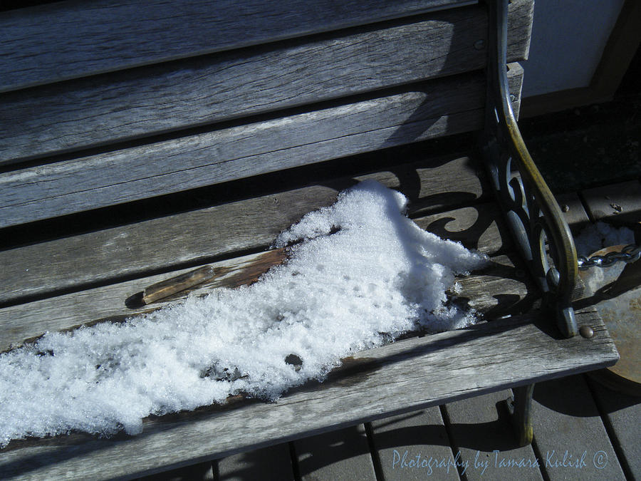Wooden Bench with Snow 1 Photograph by Tamara Kulish