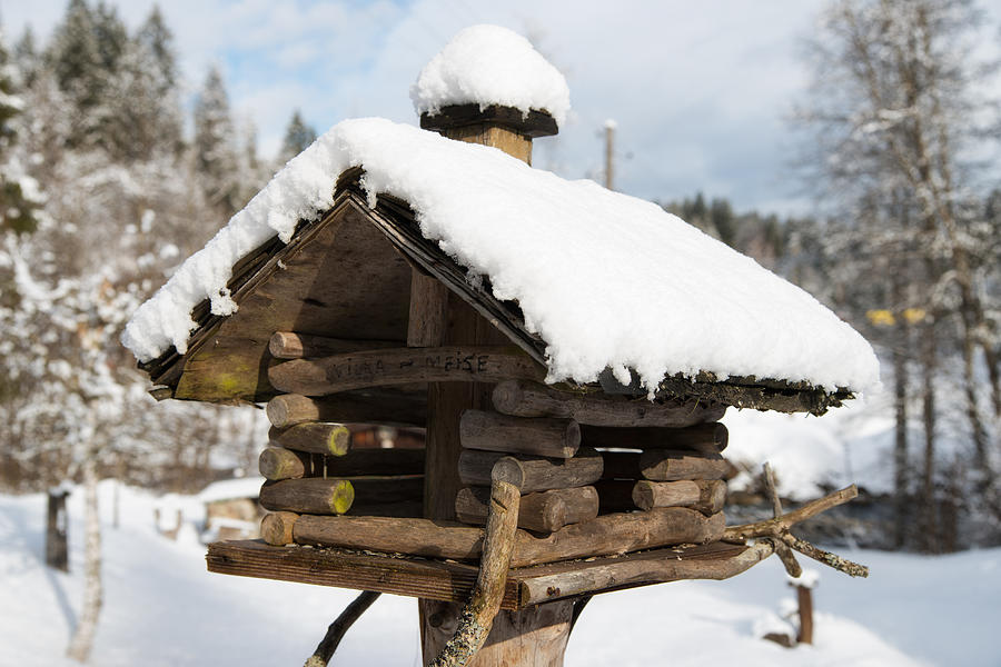 Wooden Bird house in winter with snow Photograph by Matthias Hauser