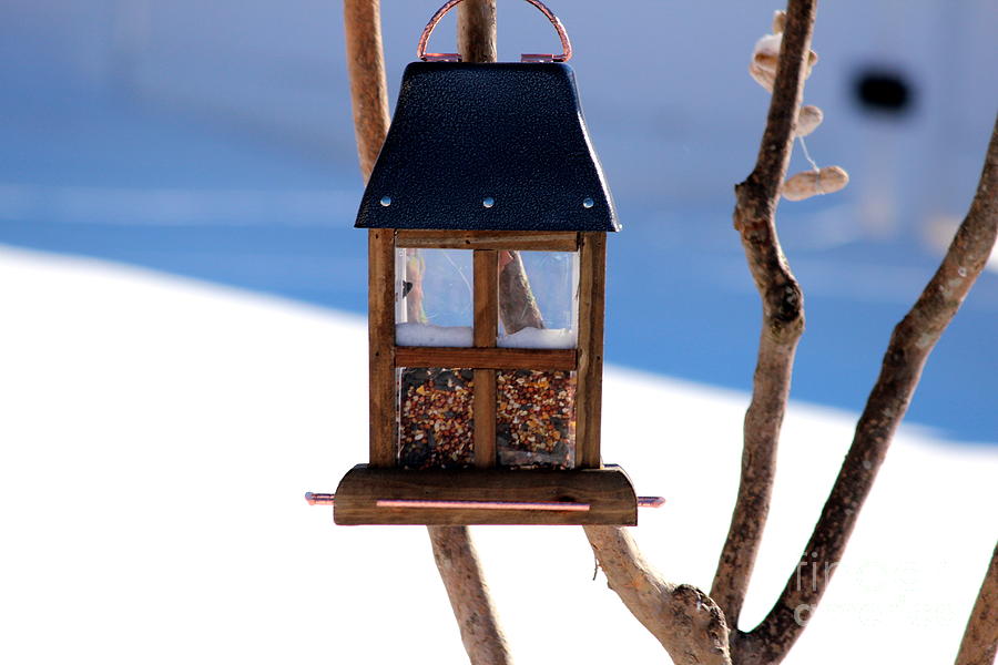 Wooden Birdfeeder with Snow Photograph by Cynthia Snyder