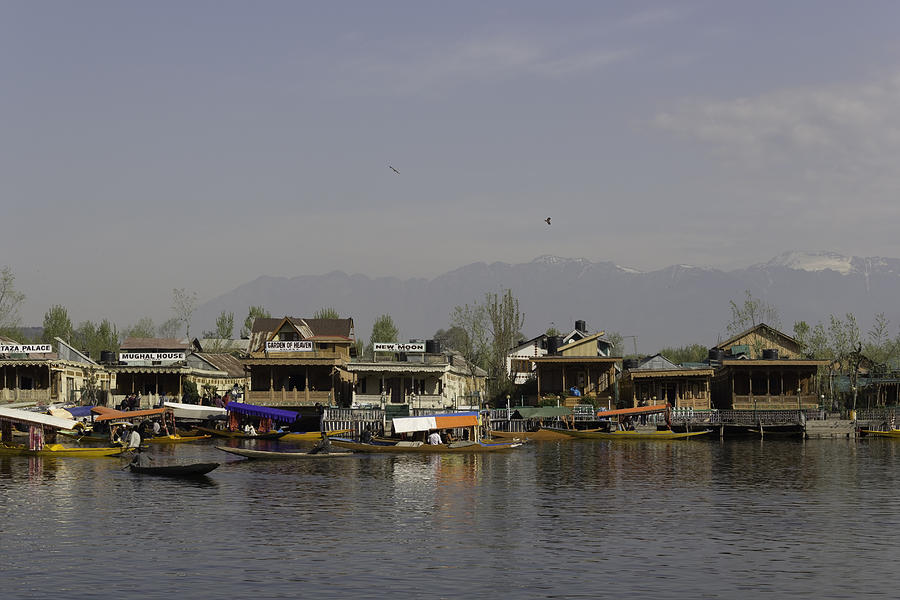 Tree Photograph - Wooden boats shikaras and houseboats in the Dal Lake in Srinagar by Ashish Agarwal