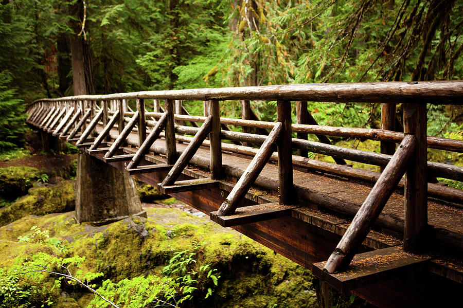 Wooden Bridge In The Forest Photograph by Andipantz