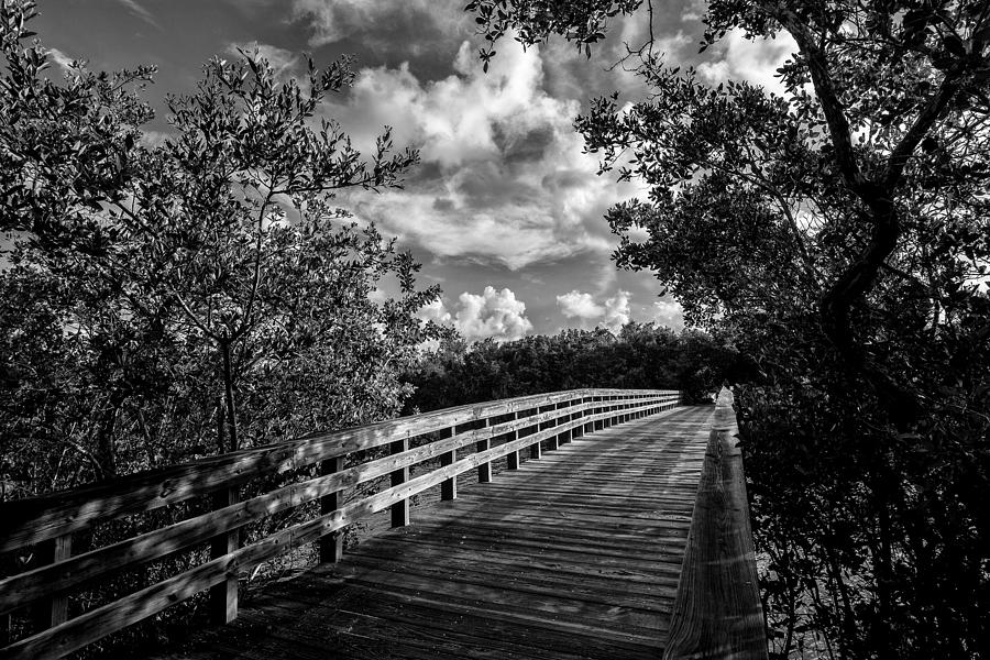 Wooden Bridge Photograph by Kevin Cable