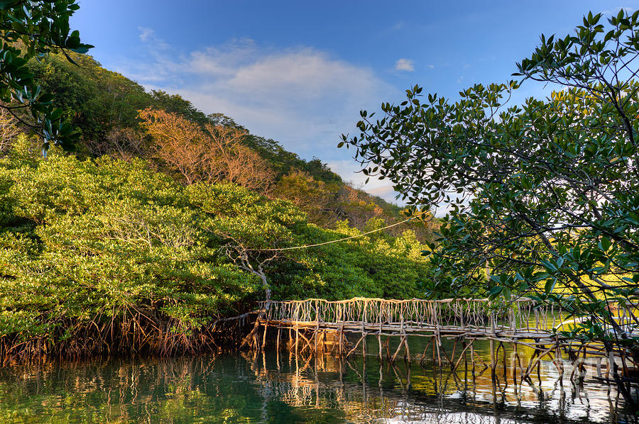 Nature Photograph - Wooden bridge Maquinit Hot Springs Philippines by Fototrav Print