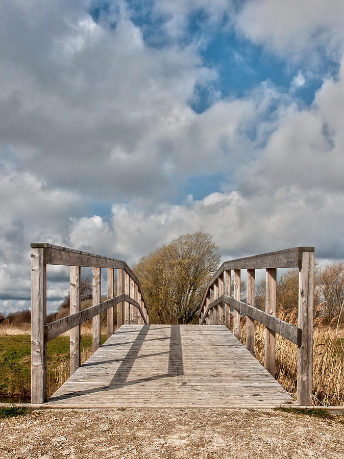 Wooden bridge Photograph by Mike Santis