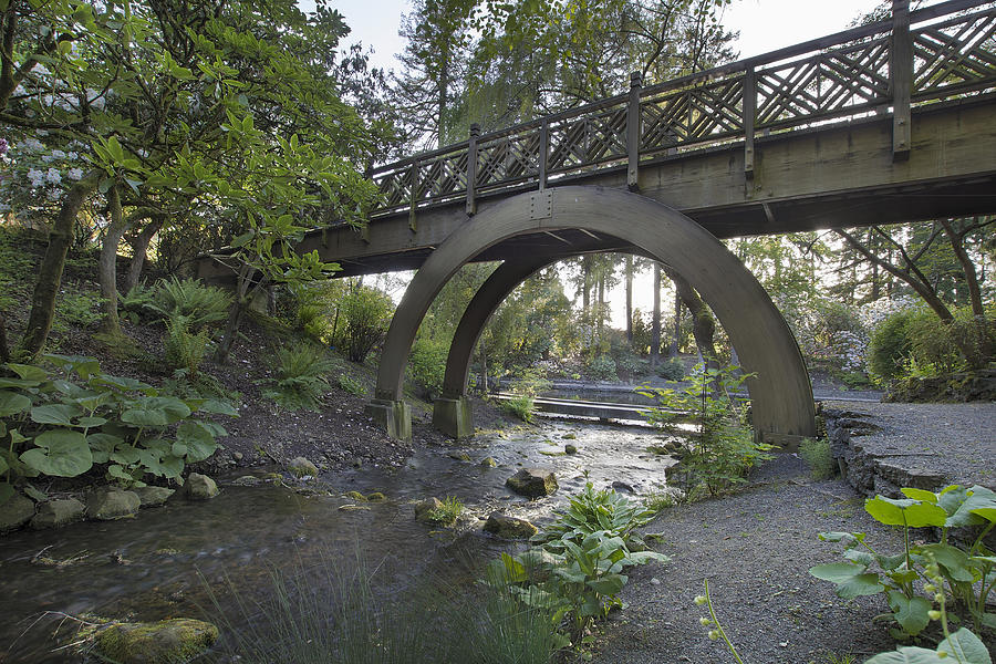 Wooden Bridge Over Stream Photograph by Jit Lim - Pixels