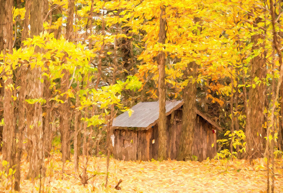Wooden cabin in autumn - painterly Photograph by Les Palenik