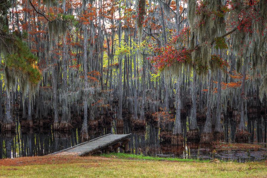 Wooden Dock on Autumn Swamp Photograph by Ester McGuire