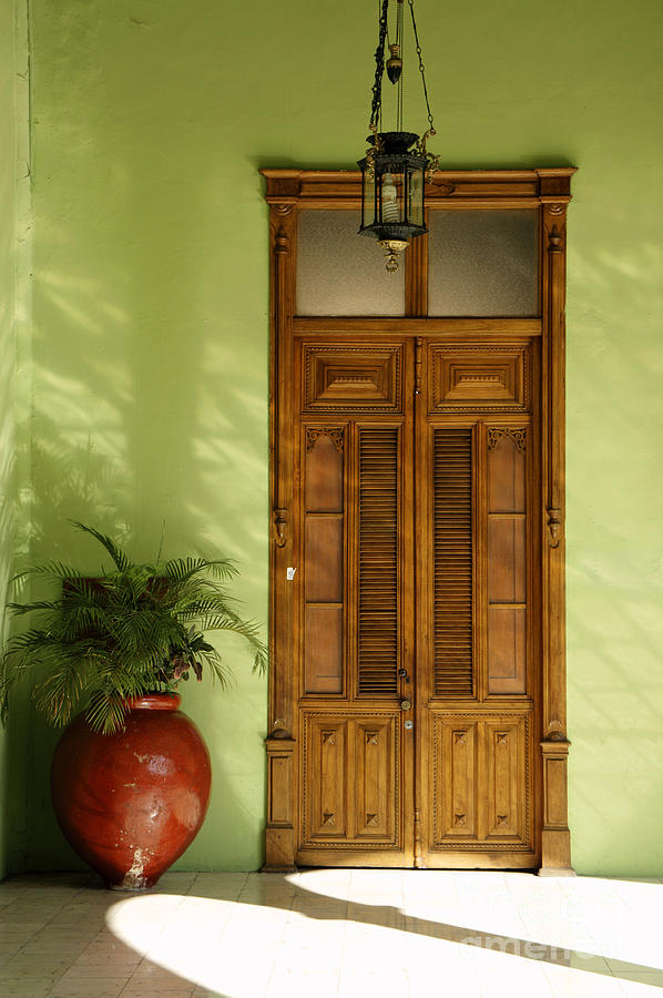WOODEN DOOR AND PLANT Merida Mexico Photograph by John  Mitchell