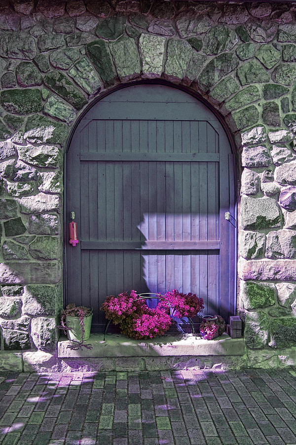Wooden Door Archway with Maroon Flowers Photograph by Randall Nyhof