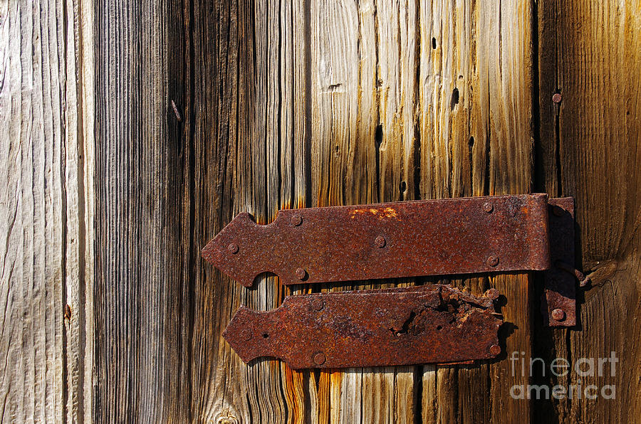 Wooden door with hinge Photograph by Carlos Caetano