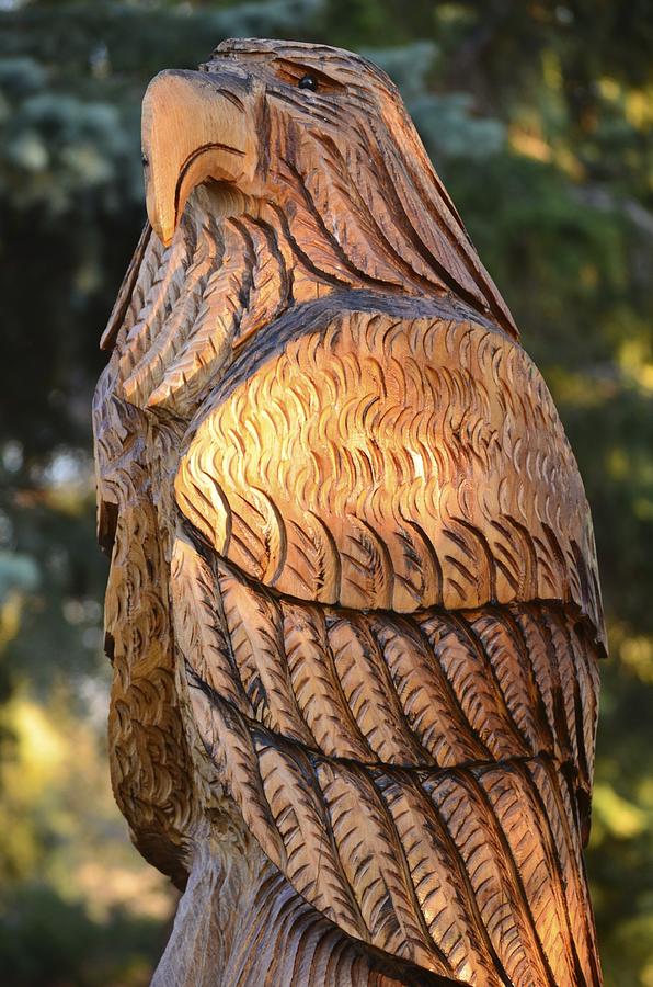 Wooden Eagle Photograph by William Hallett - Fine Art America