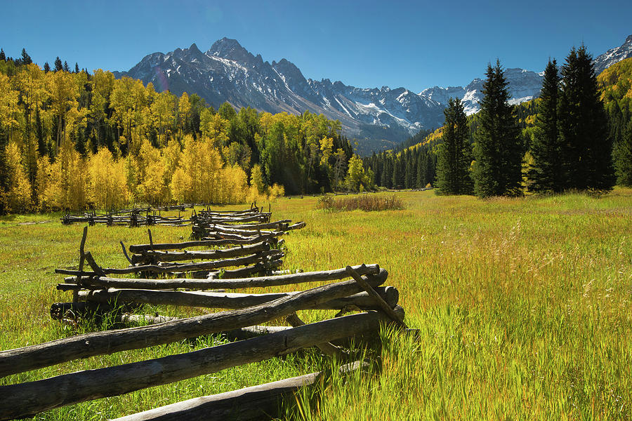 Wooden Fence In A Forest, Maroon Bells Photograph by Panoramic Images