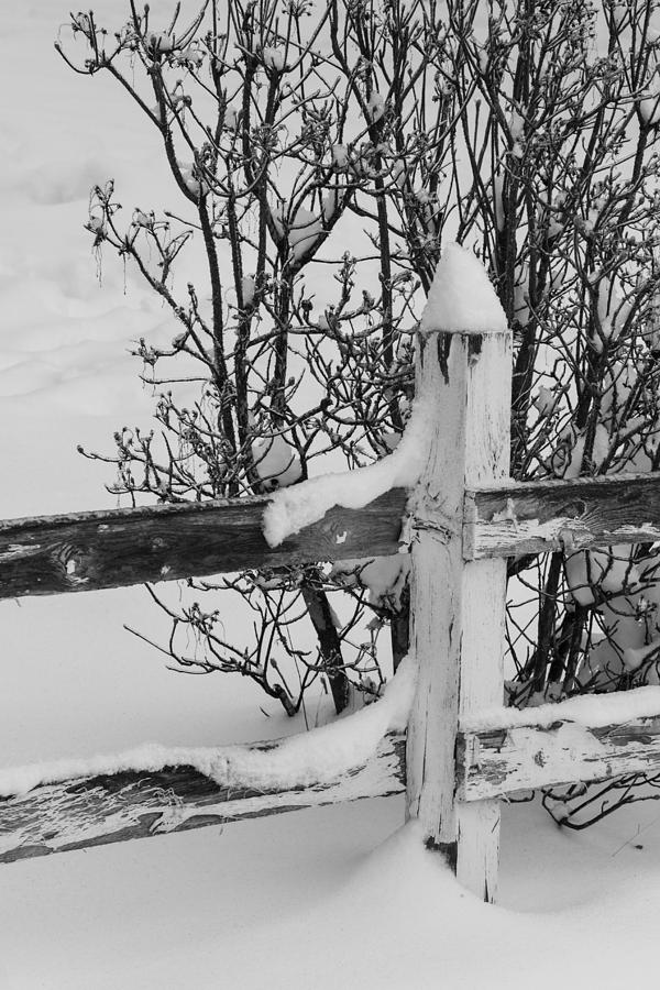 Wooden Fence in Snow Photograph by Angie Vogel