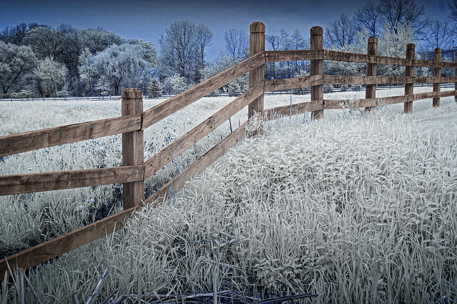 Wooden Fence of a Friesian Horse Pasture on Windmill Island Photograph by Randall Nyhof