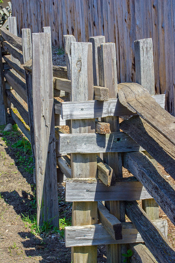 Wooden Fencing Photograph by Tikvahs Hope