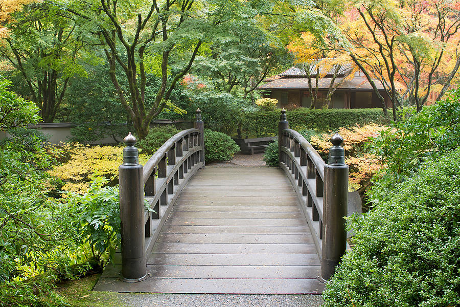 wooden foot bridge in japanese garden photograph by jit lim fine art america