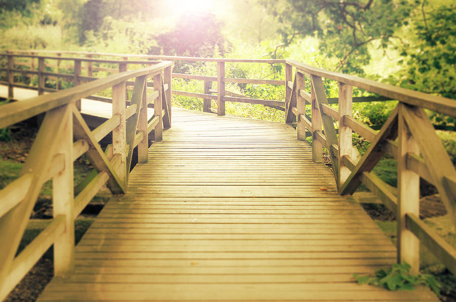 Wooden footbridge in a wood Photograph by Dutourdumonde Photography ...